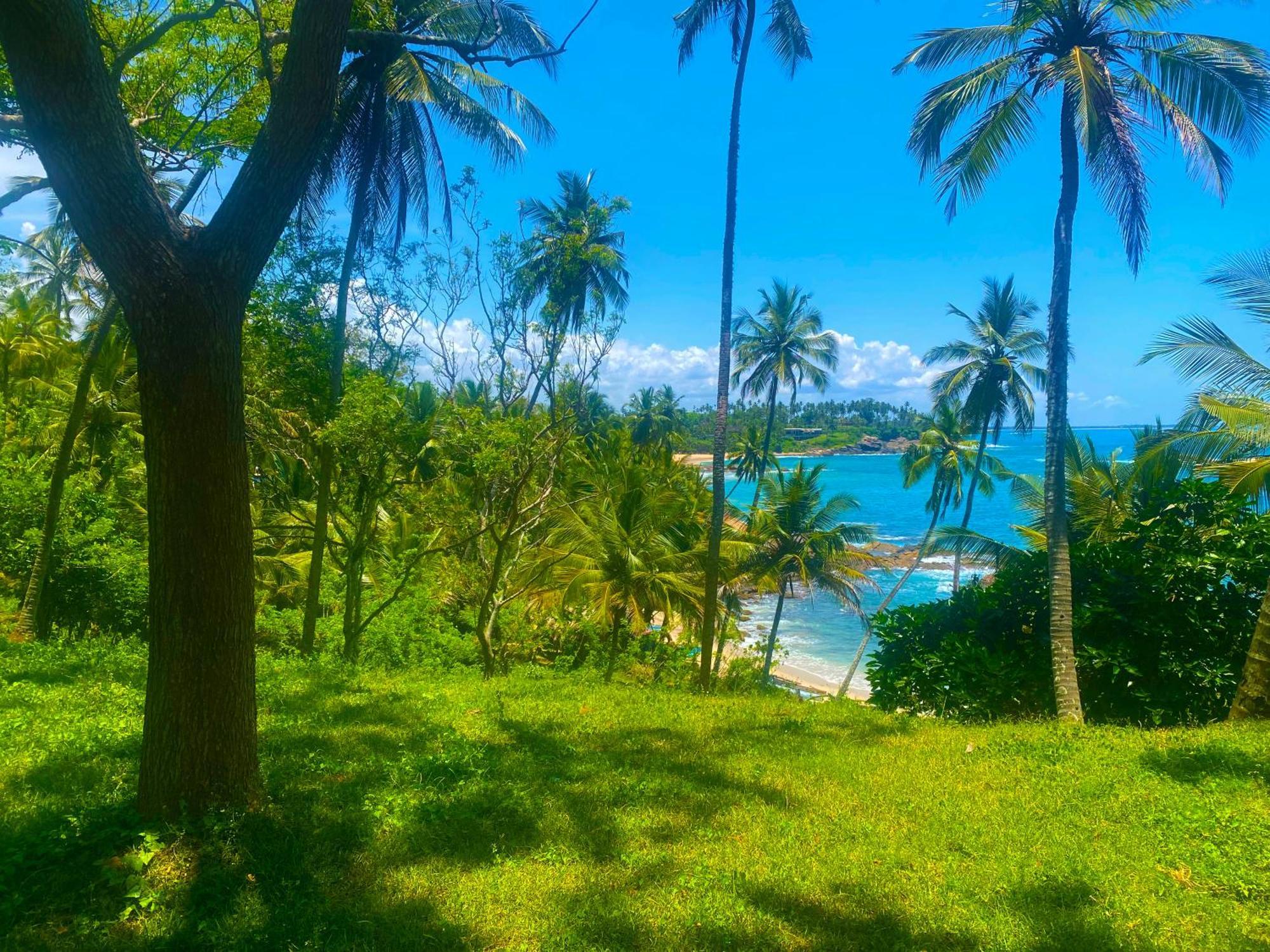 Bluewind Resort Тангалле Екстер'єр фото