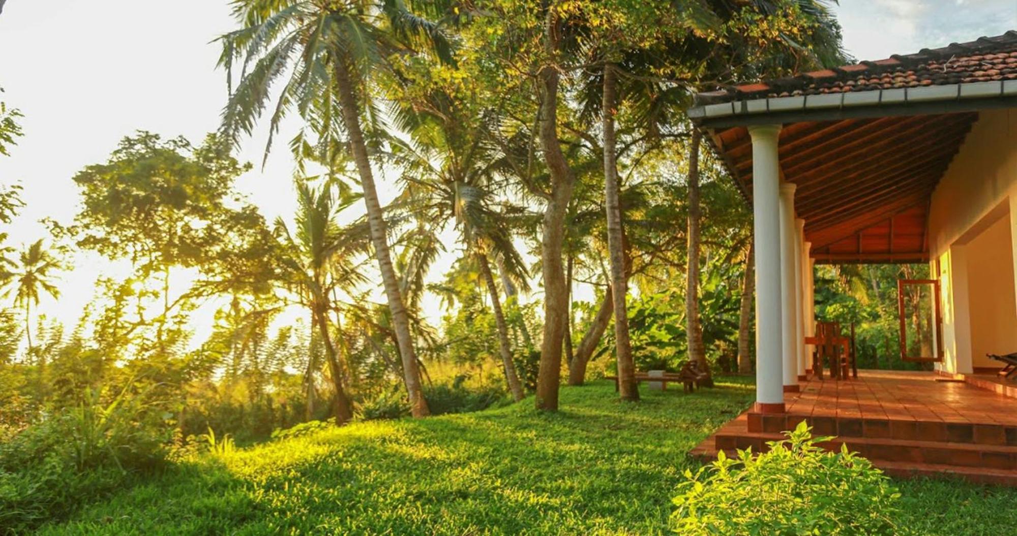Bluewind Resort Тангалле Екстер'єр фото